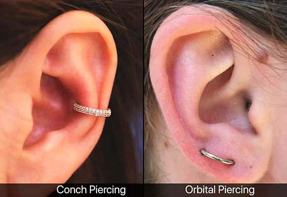 unique ear conch orbital